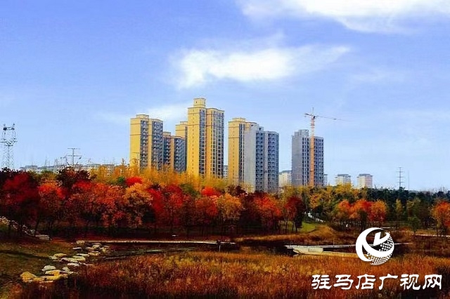 冬日初始時(shí) 暖陽(yáng)耀天中