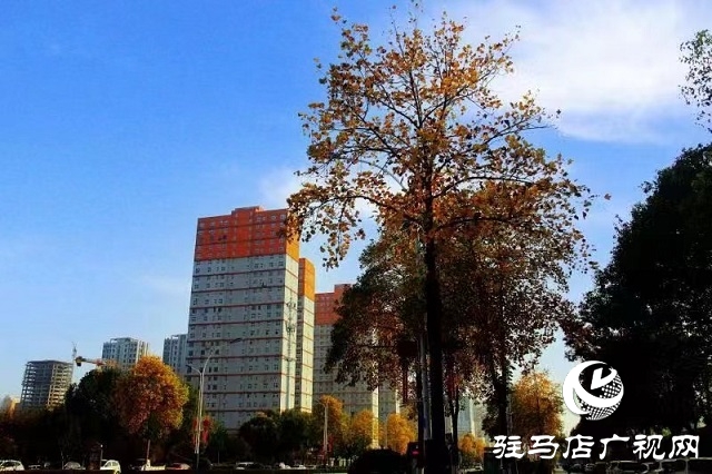 冬日初始時(shí) 暖陽(yáng)耀天中