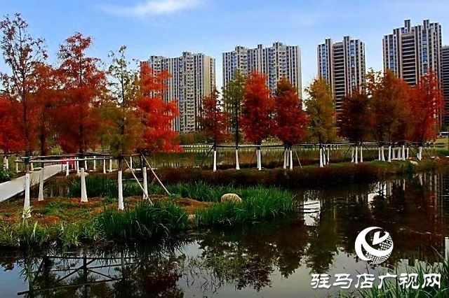 冬日初始時(shí) 暖陽(yáng)耀天中