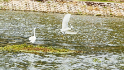 全力推動河湖&ldquo;四亂&rdquo;整治 鄭州要讓河湖回歸&ldquo;本色&rdquo;