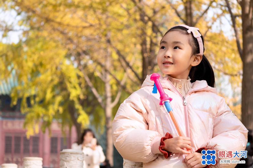 初冬銀杏美，滿樹金黃醉游人