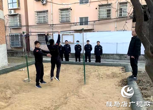 平輿公安局特巡警大隊開展基礎(chǔ)體能技能訓(xùn)練
