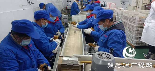河南伊順苑:加班加點(diǎn) 抗“疫”生產(chǎn)兩不誤