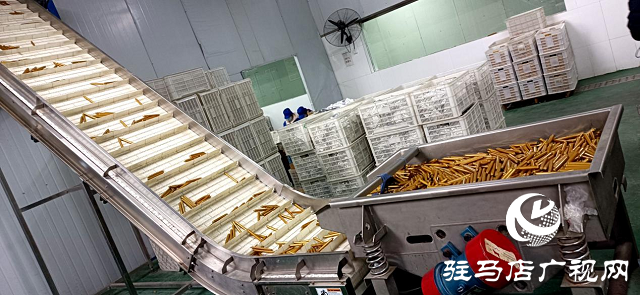 河南伊順苑:加班加點(diǎn) 抗“疫”生產(chǎn)兩不誤