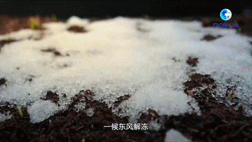 二十四節(jié)氣:北京冬奧會(huì)上的“中國式浪漫”