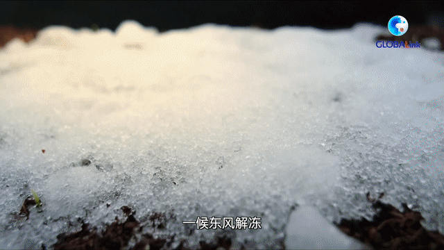 全球連線丨二十四節(jié)氣由何而來？中國最古老天文遺跡告訴你