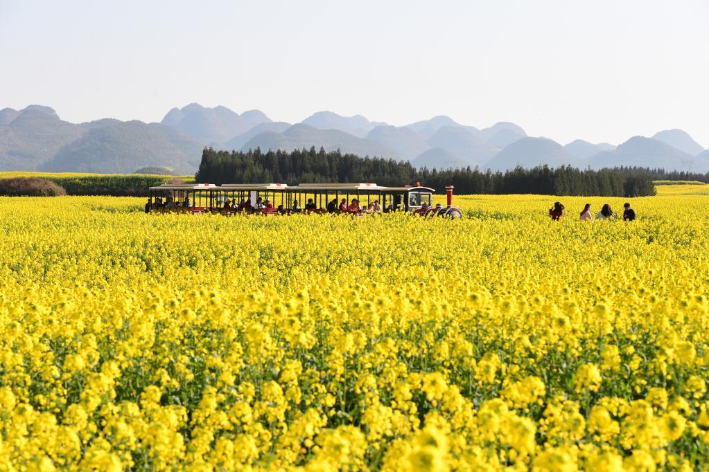 節(jié)氣里的中國丨雨水日:拂水驚梅中迎來春天