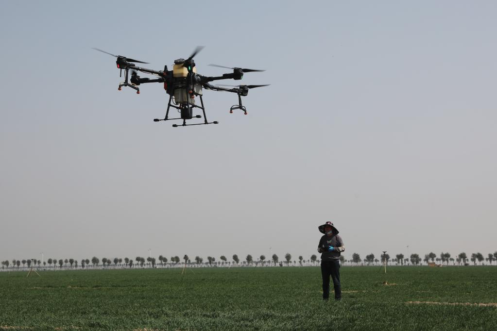 看！農(nóng)田里的科技范兒