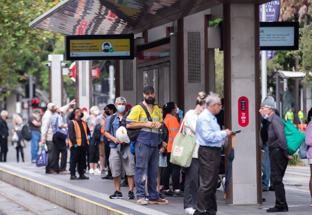 科普：新冠重組毒株現狀知多少