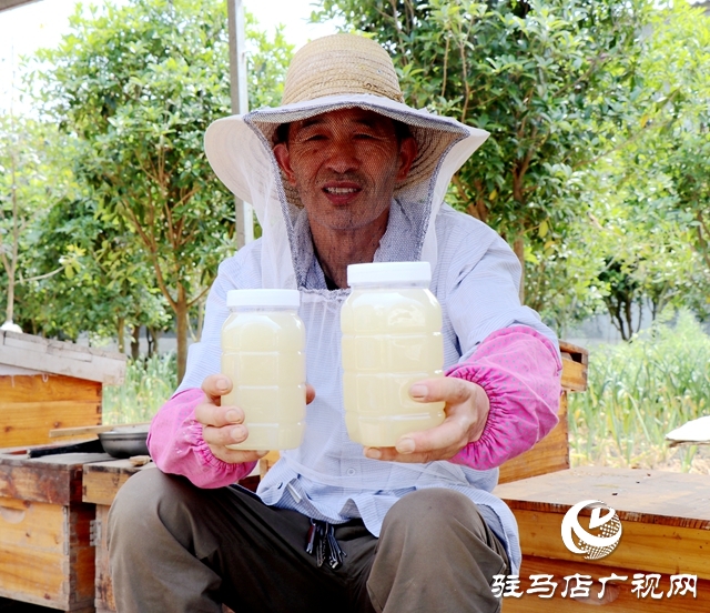 蜂農(nóng)安建國：經(jīng)營&ldquo;甜蜜&rdquo;事業(yè) 釀造&ldquo;幸福生活&rdquo; 