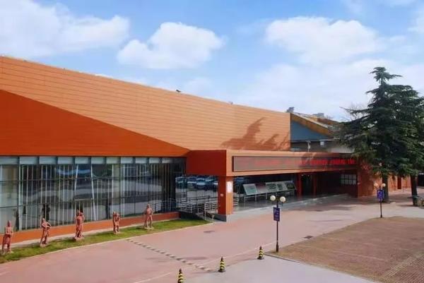 五一這樣過丨大河村遺址博物館恢復(fù)開館電影大餐少不了