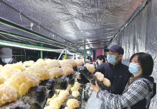 陽臺(tái)農(nóng)業(yè) 小眾群體催生的百億元級市場