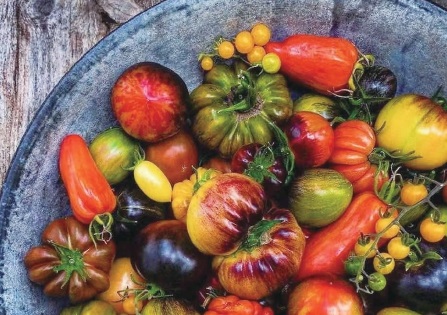 陽臺(tái)農(nóng)業(yè) 小眾群體催生的百億元級市場