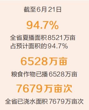 高溫“烤”驗(yàn)下 看全省如何抗旱保苗