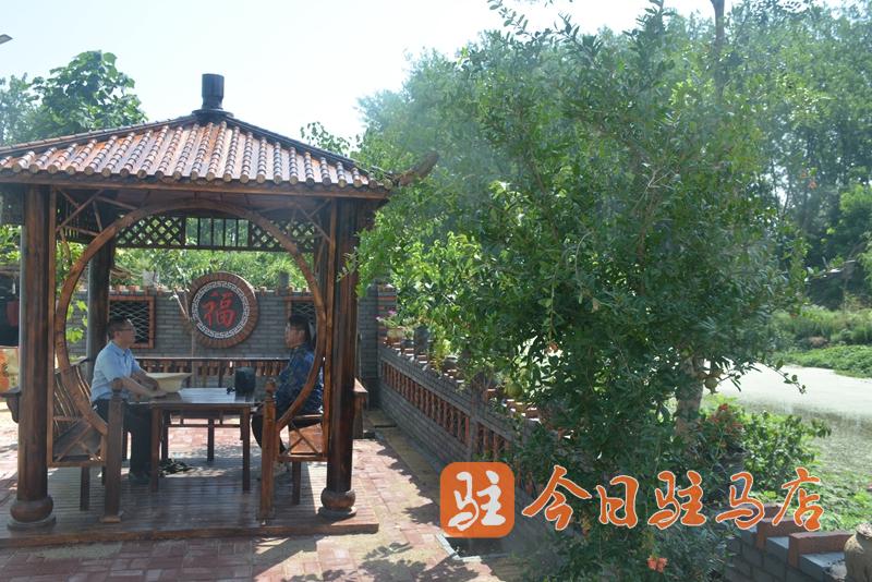 環(huán)境美 產(chǎn)業(yè)興 汝南張樓:跑出鄉(xiāng)村振興“加速度”