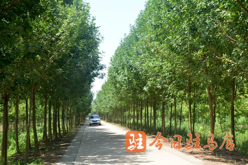 環(huán)境美 產(chǎn)業(yè)興 汝南張樓:跑出鄉(xiāng)村振興“加速度”