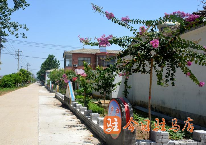 環(huán)境美 產(chǎn)業(yè)興 汝南張樓:跑出鄉(xiāng)村振興“加速度”