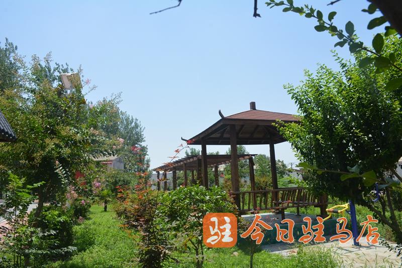 環(huán)境美 產(chǎn)業(yè)興 汝南張樓:跑出鄉(xiāng)村振興“加速度”