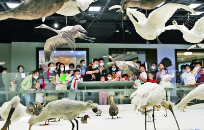 從延長(zhǎng)開(kāi)放時(shí)間到全天開(kāi)放&mdash;&mdash;24小時(shí)博物館，城市夜生活新地標(biāo)