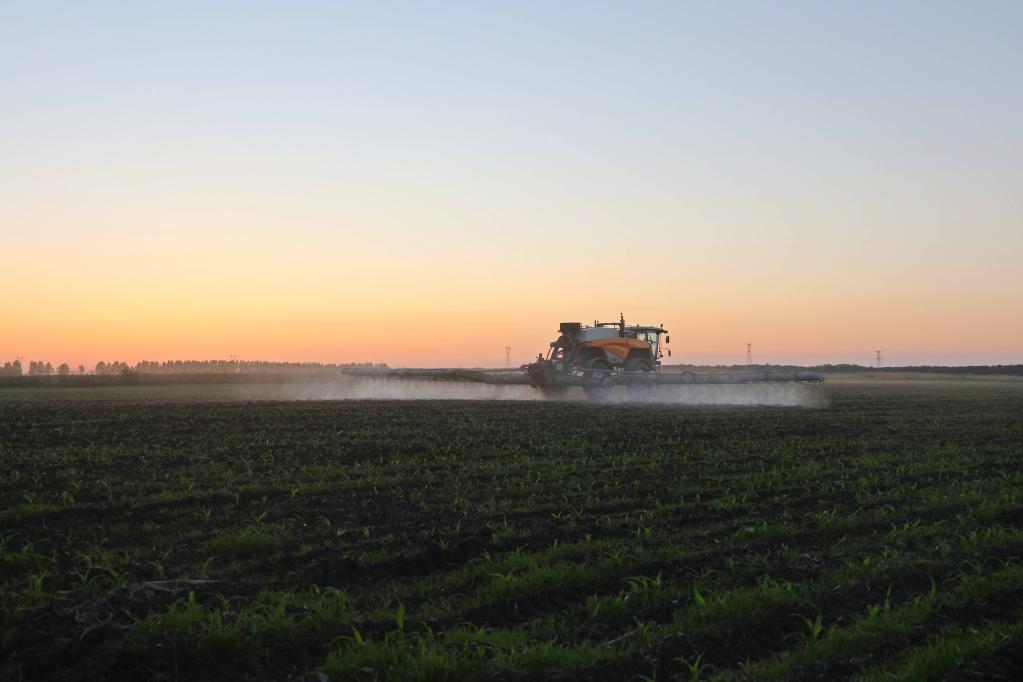 黑龍江多措并舉保護(hù)&ldquo;耕地中的大熊貓&rdquo;