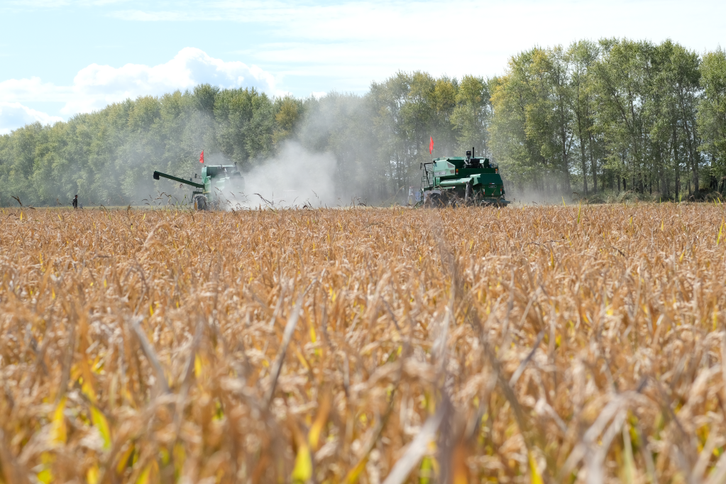 黑龍江多措并舉保護(hù)&ldquo;耕地中的大熊貓&rdquo;