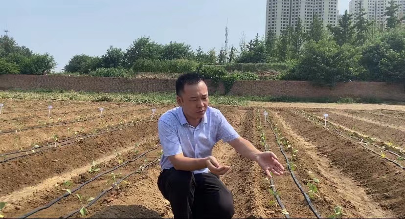 處暑話農(nóng)耕：處暑至 秋意涼 準(zhǔn)備好和夏天說(shuō)再見(jiàn)了嗎？