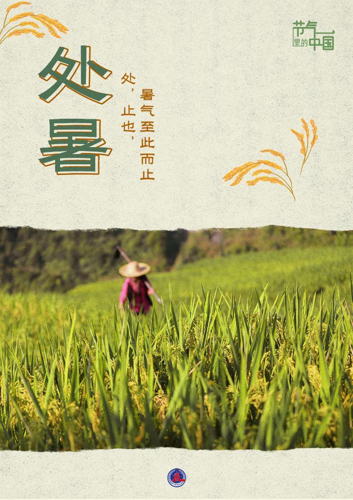 節(jié)氣里的中國丨處暑:最好新秋時