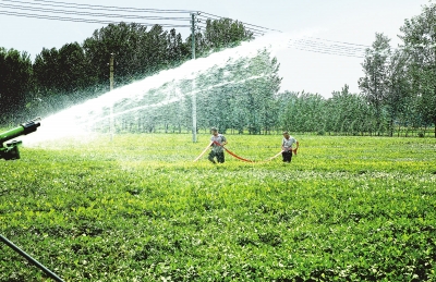 扎實做好抗旱保秋工作 全力奪取秋糧豐產(chǎn)豐收丨河南省完成抗旱澆灌面積2046萬畝次