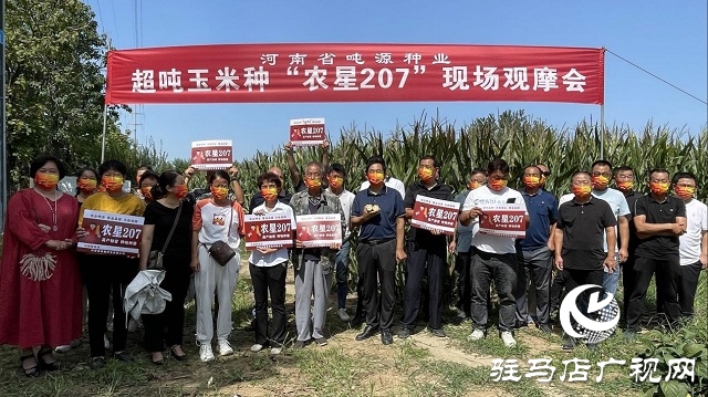 農(nóng)星207觀摩會(huì)：&ldquo;金種子&rdquo;引起種糧大戶圍觀