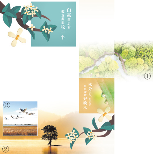 露從今夜白秋向此時分(二十四節(jié)氣)