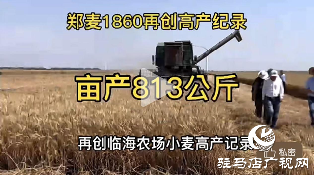 服務(wù)基層，讓利于農(nóng)！鋤禾肥業(yè)攜手駐研種業(yè)感恩行圓滿成功