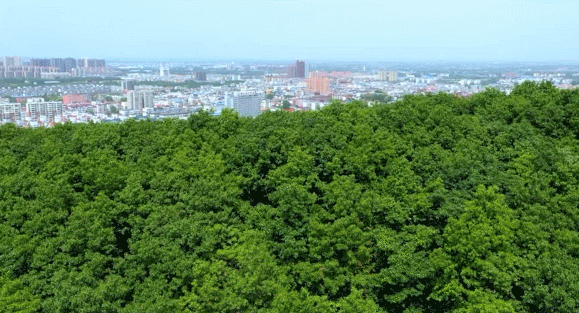 奮進(jìn)新征程，建功新時(shí)代 ——專訪駐馬店市委書記鮑常勇