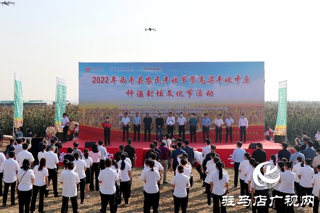 豫坡酒業(yè)：高粱喜豐收 好糧釀好酒