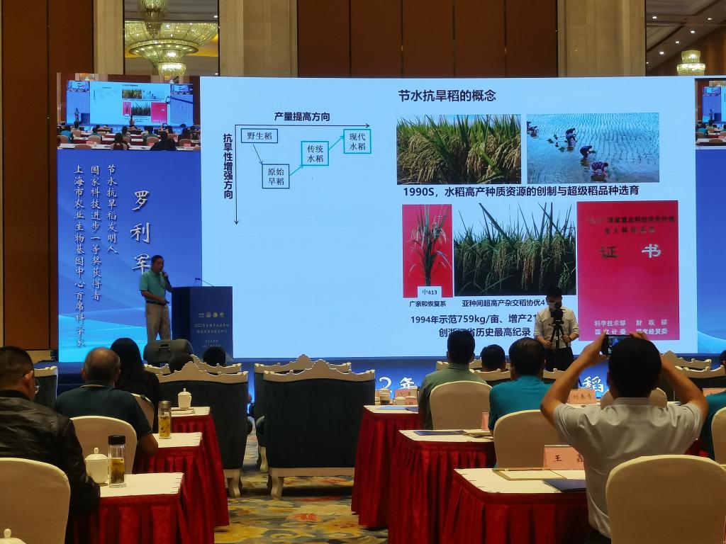 助農(nóng)穩(wěn)產(chǎn)、降污減碳、科企合作——“三本賬”透視節(jié)水抗旱稻