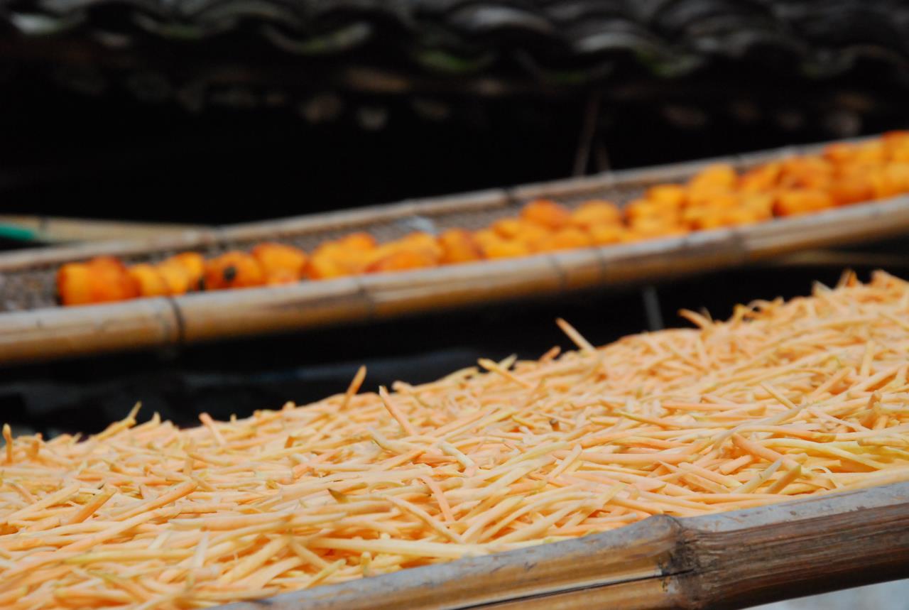 二十四節(jié)氣 | 霜降：曬柿餅，做柿子染