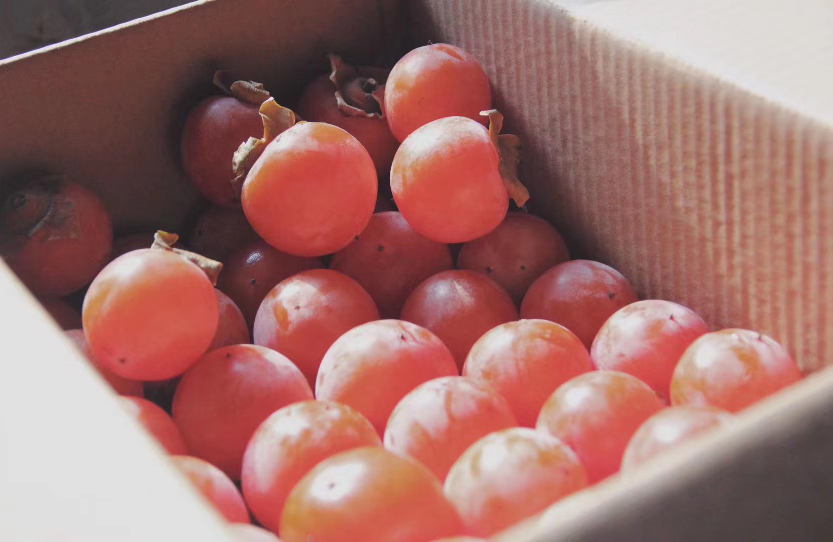 二十四節(jié)氣 | 霜降：曬柿餅，做柿子染