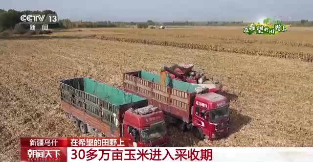 &ldquo;三秋&rdquo;生產(chǎn)關(guān)鍵期，各地加速推進(jìn)秋收工作