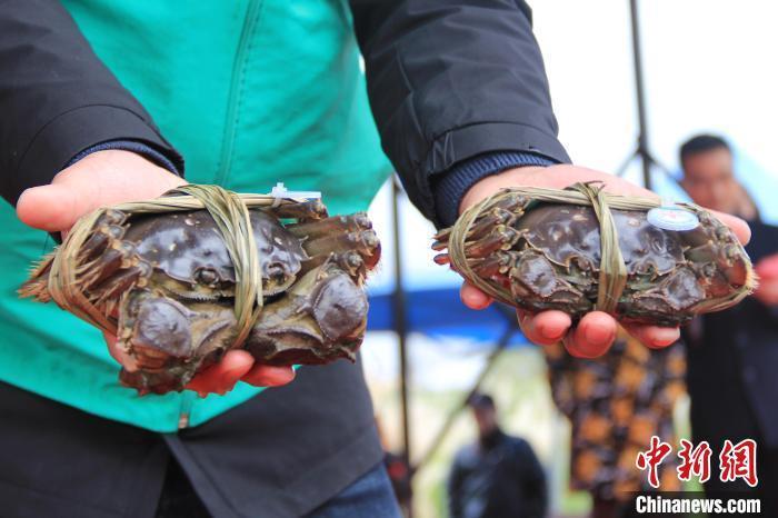 預(yù)約不上、缺斤少兩&hellip;&hellip;今年你躲過(guò)蟹券的坑了嗎？