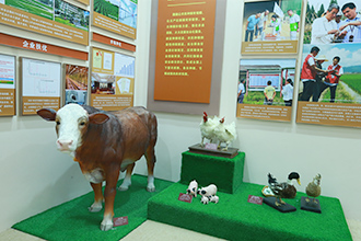 農(nóng)業(yè)農(nóng)村部領(lǐng)導(dǎo)集體參觀&ldquo;三農(nóng)這十年&mdash;&mdash;新時(shí)代農(nóng)業(yè)農(nóng)村發(fā)展成就展&rdquo;