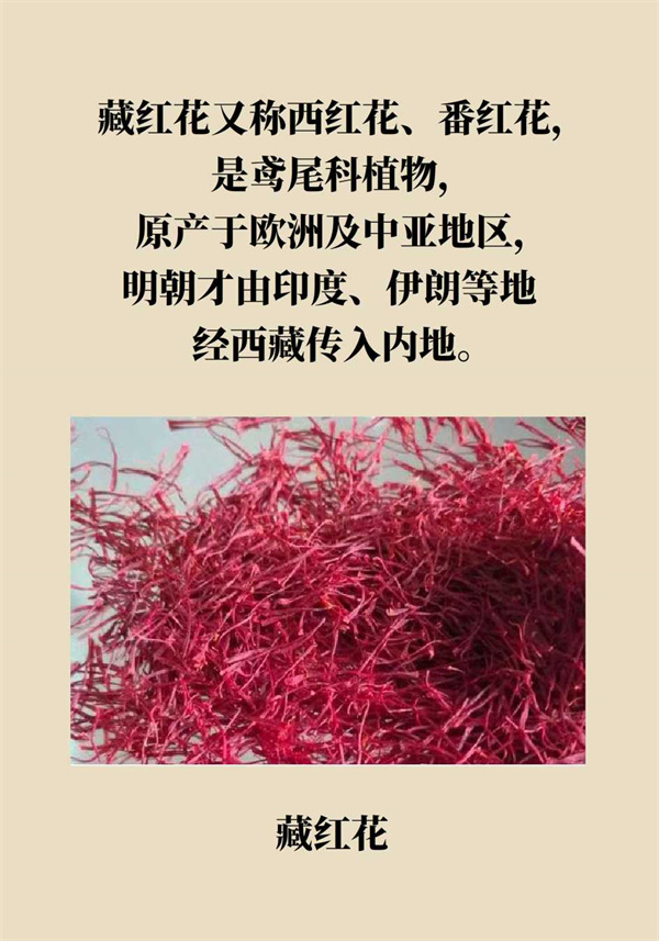 泡腳真能養(yǎng)生？專家：對癥才是關鍵