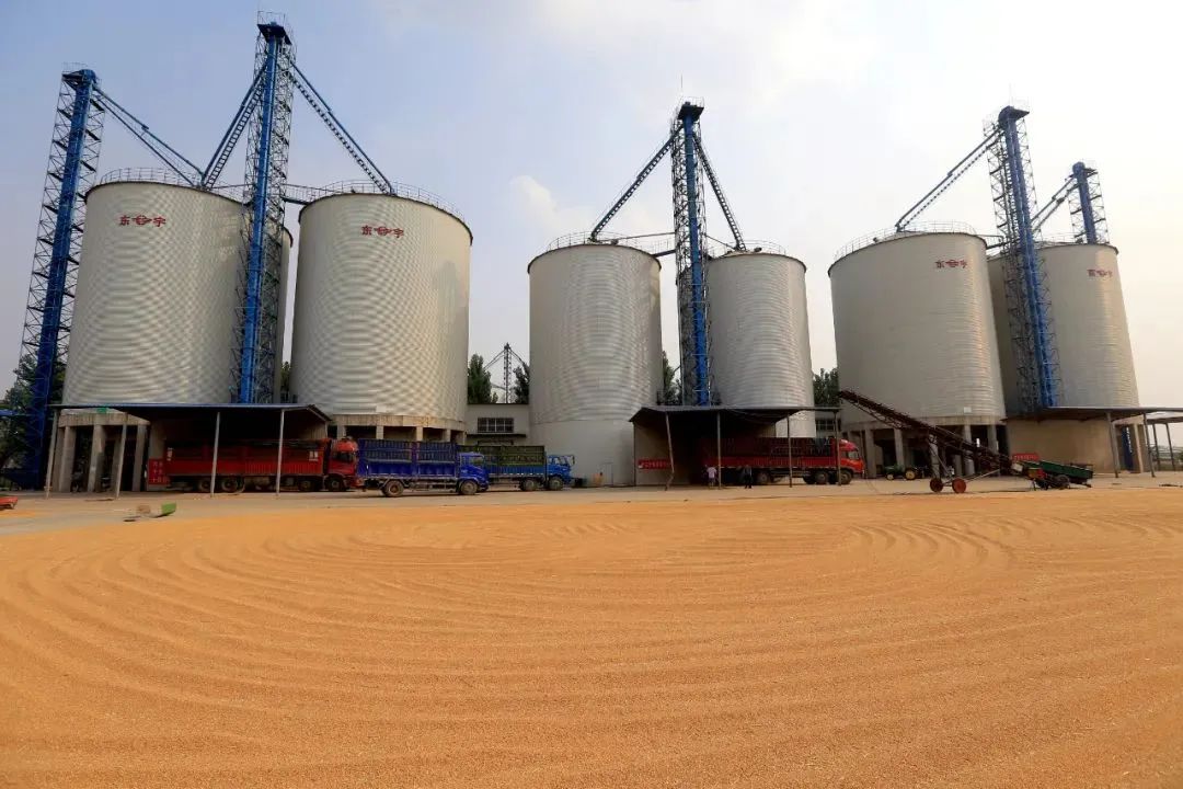 中國酒曲，始于仰韶（2）|中原名副其實的“中國糧倉”