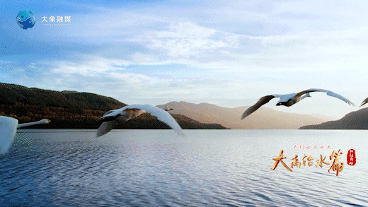 神話新傳｜古有大禹治水，今有&ldquo;會飛的大熊貓&rdquo;安家河南