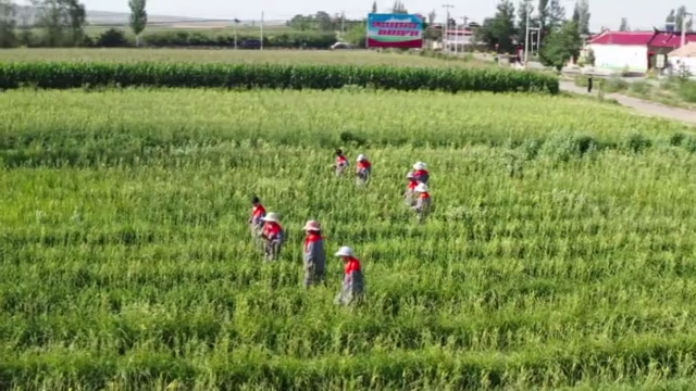 再出發(fā)丨鄉(xiāng)村“新賽道”