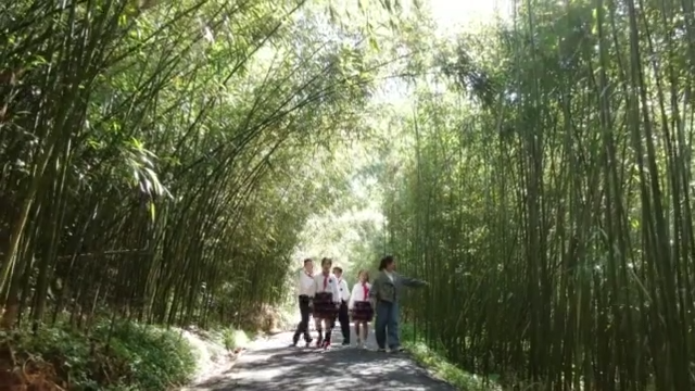 再出發(fā)丨鄉(xiāng)村“新賽道”