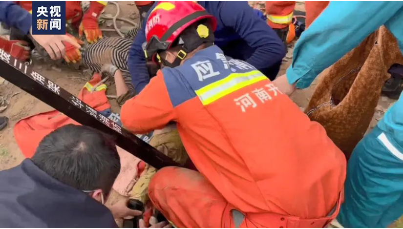  “別害怕，我下來救你了！”