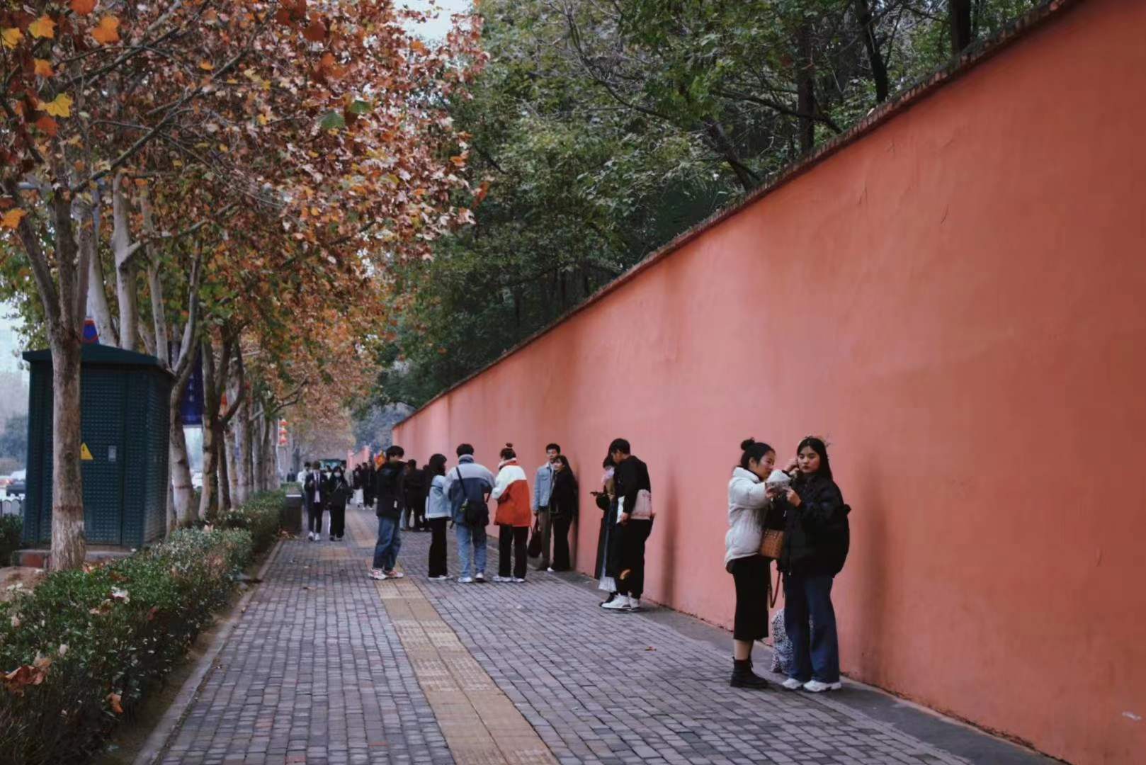 今評彈·沖刺特評｜秋天消失后，我們不想再被疫情奪走冬天