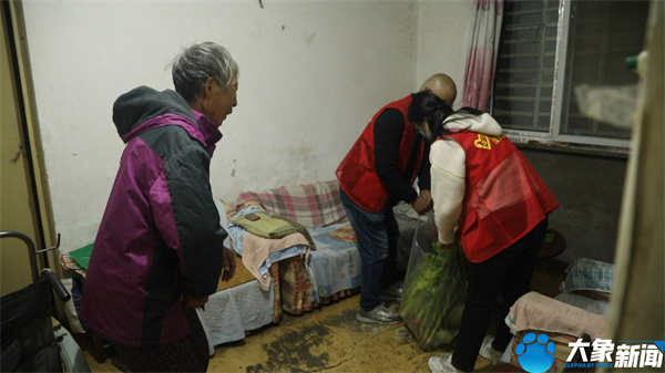 關(guān)愛·溫暖 | 大象幫·助農(nóng)直播效應(yīng)明顯，平頂山“張良蔬菜”外銷日增30余噸