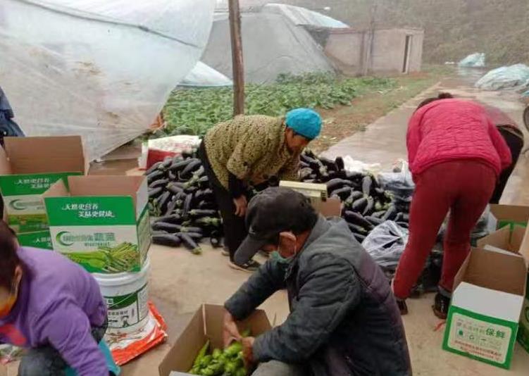  關(guān)愛你我他（她）·溫暖千萬家丨人大代表動起來 民生實(shí)事辦起來