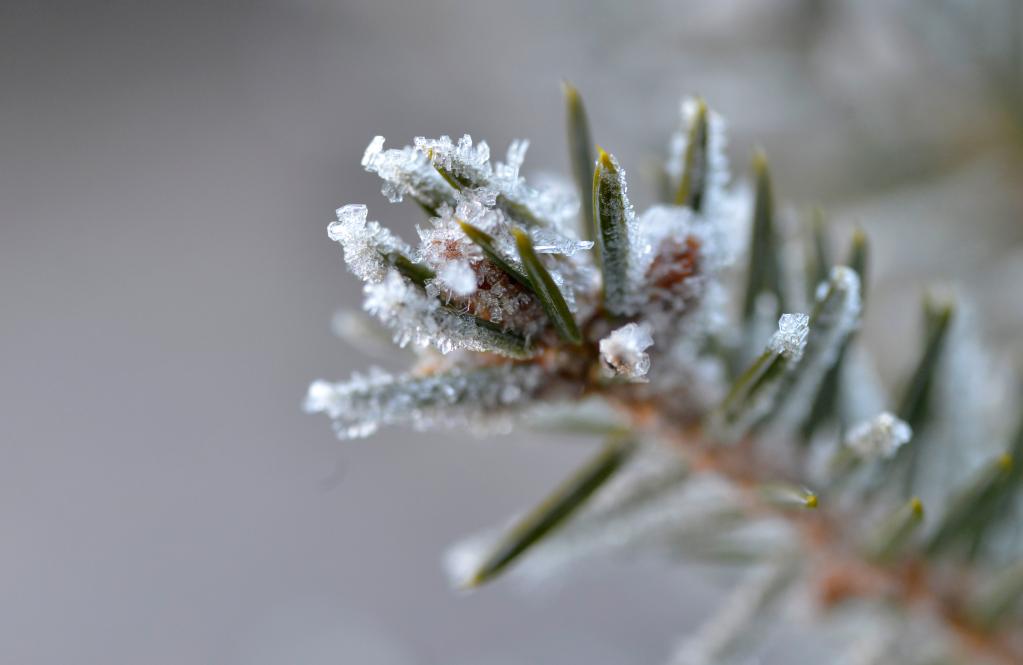 節(jié)氣里的中國(guó)|冬至陽(yáng)生春又來(lái)