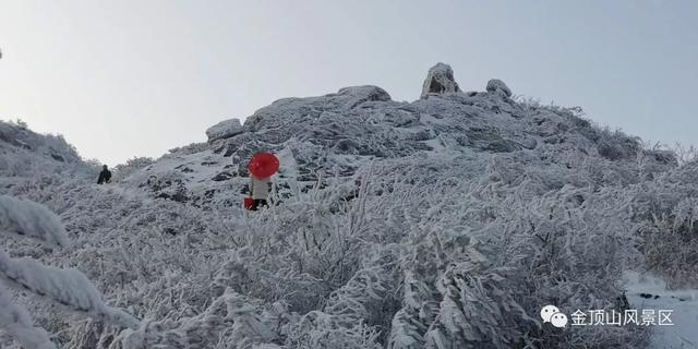 「金頂●冬雪」忽如一夜春風(fēng)來，千樹萬樹梨花開